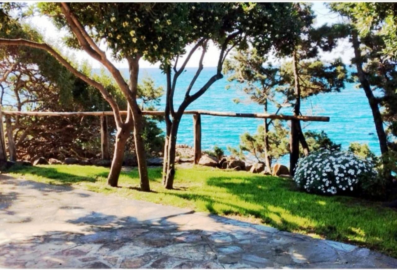Villa Vera Trifamigliare Con Ingresso Diretto 20 Mt Al Mare Clima Wi-Fi Bbq Cala Liberotto Εξωτερικό φωτογραφία