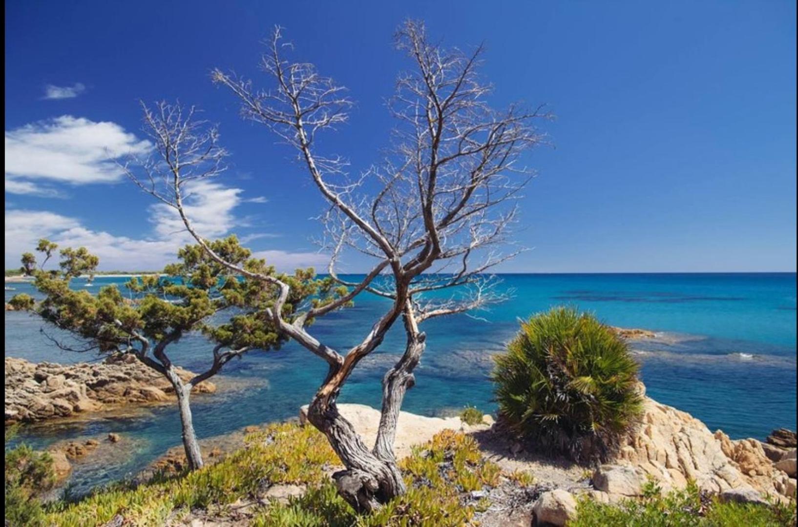 Villa Vera Trifamigliare Con Ingresso Diretto 20 Mt Al Mare Clima Wi-Fi Bbq Cala Liberotto Εξωτερικό φωτογραφία
